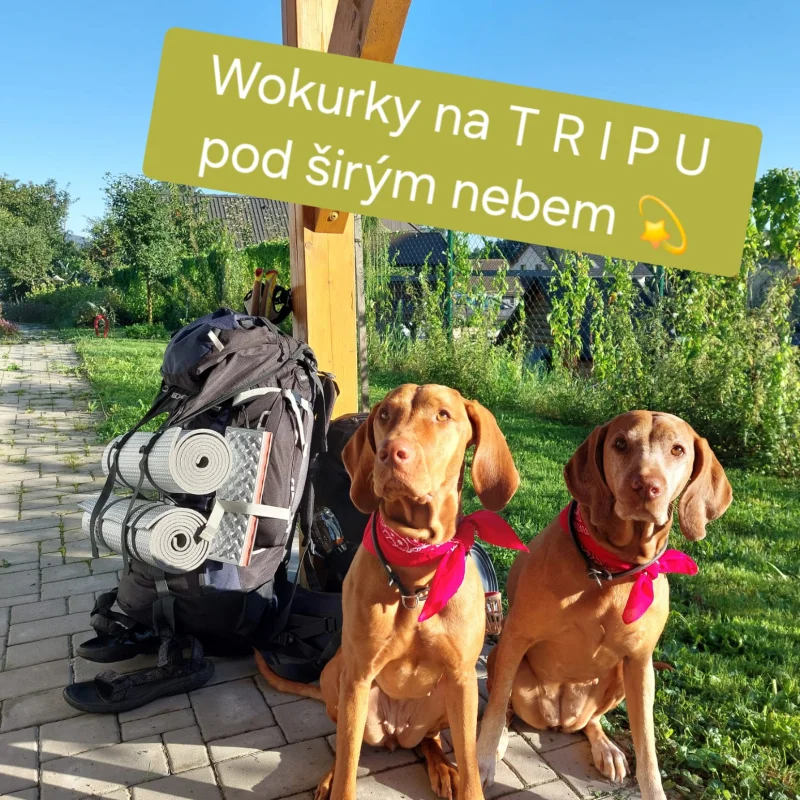 S parťákem MOK - Na tripu